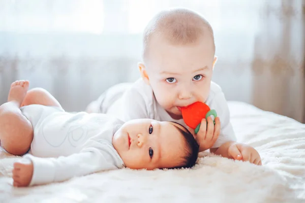 Älterer Bruder Kleiner Junge Hält Beißring Und Gibt Der Kleinen — Stockfoto