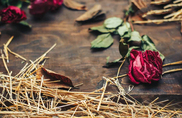 Beautiful dried pink roses on wooden background