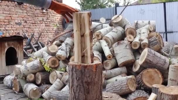 Mann Handschuhen Hackt Holz Viel Holz Auf Hintergrund — Stockvideo