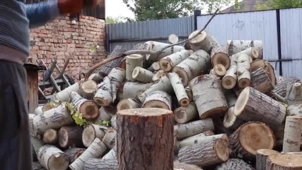 Muž Rukavicích Sekání Dřeva Hodně Dřeva Pozadí — Stock video