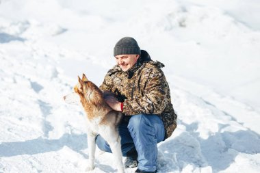 Husky köpek. Vahşi güzellik siberiab husky köpek portre. Kış arka plan