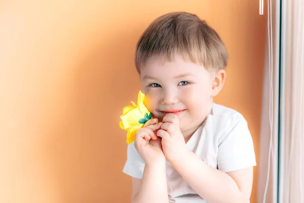Ένας μικρόσωμος άνδρας παιδί παιδί κρατώντας ένα κίτρινο τριαντάφυλλο και ντροπαλός σε πορτοκαλί φόντο — Φωτογραφία Αρχείου