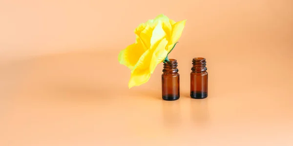 Fondo de la vieja tabla flor amarilla se levantó en una pequeña botella sobre fondo naranja dos botellas de vidrio — Foto de Stock