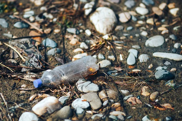 Environmental pollution plastic bottle with blue lid brown liquid inside on the beach among stones and sand