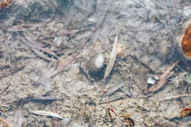 bahar nehirde dondurulmuş su birikintisi üzerinde buz kristalleri deseni