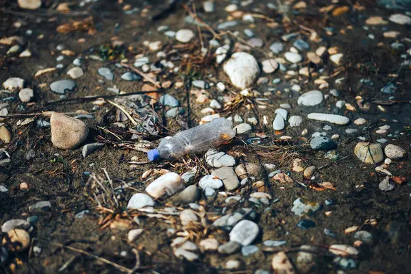 Zanieczyszczenie środowiska plastikowa butelka z niebieskim wieczkiem brązowy płyn wewnątrz na plaży wśród kamieni i piasku — Zdjęcie stockowe