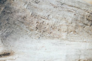 erken baharda çatlak ve SNAG güneş ışığı ile eski Retro Vintage yaşlı ahşap doku arka plan