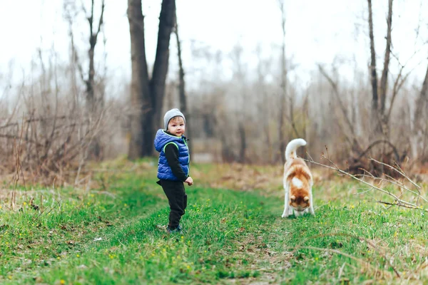 Niño pequeño jugar con Husky siberiano rojo en el campo de hierba. Niño con perro en el bosque de primavera — Foto de Stock