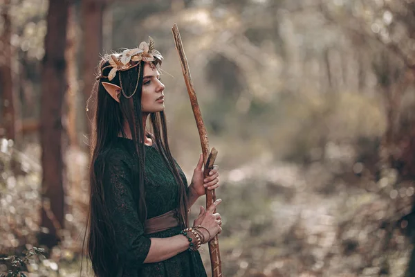 Vacker Elf kvinna Fabulous, Fairy Forest, famtasy ung kvinna med långa öron, långt mörkt hår gyllene krans krona på huvudet — Stockfoto