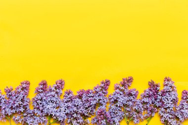 Lila çiçekler ve metin için alan dekoratif çerçeve. sarı arka plan