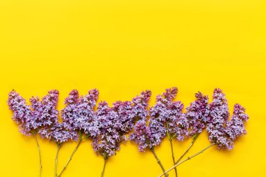 Lila çiçekler ve metin için alan dekoratif çerçeve. sarı arka plan