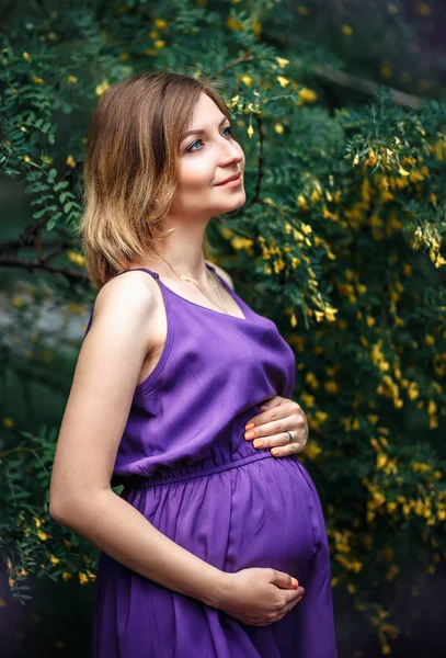 Hermosa mujer europea embarazada en vestido violeta púrpura, de pie cerca de arbustos de acacia con flores pequeñas amarillas, bloques de colores — Foto de Stock