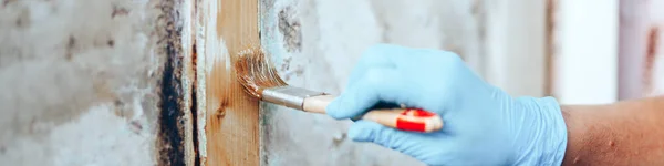 Рука держит кисть нанося лак краски на деревянную дверь — стоковое фото