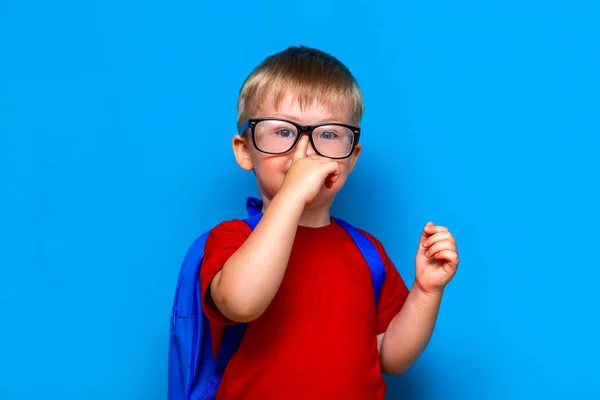 Small smiling schoolboy on blue background in glasses toutch his glasses. back to school, preschool kid — Stock Photo, Image