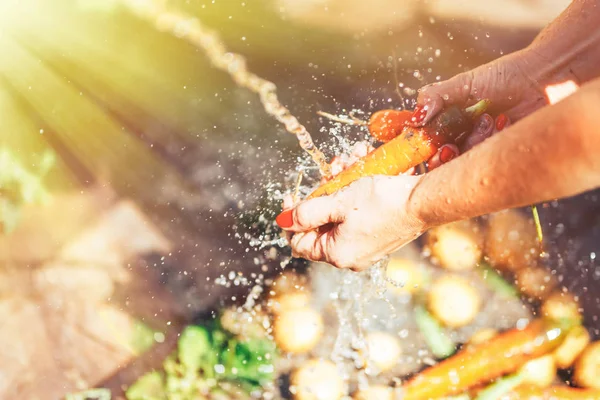 Wanita tangan Mencuci sekelompok wortel di bawah air musim panas outdoor — Stok Foto