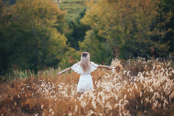 Vue arrière de la fille blonde dans le champ d'automne en chapeau de paille, robe. Vue arrière du portrait d'automne de la femme à l'extérieur — Photo