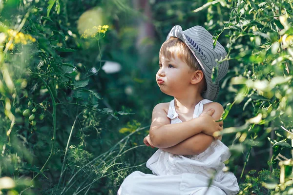 잔디에 캐주얼 차가운, 농부 소년 3 살 — 스톡 사진