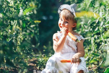 küçük çocuk çiftçi çocuk domates bitkilerin doğrultusunda oturan, beyaz rahat tulum takım elbise ve gri şapka giyen, havuç yeme, hasat zamanı