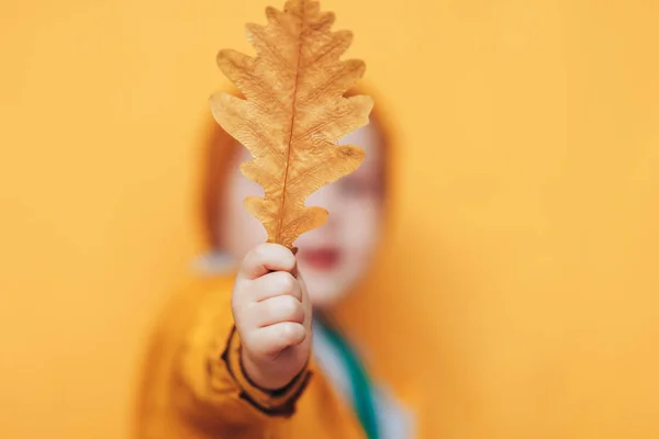 秋だ黄色い葉を手にした笑顔の赤ちゃん。季節のファッション。秋の服子供のファッション。葉っぱが落ちる金色のクローザーの少年、オレンジ色の帽子 — ストック写真