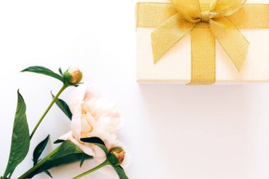Güzel bir buket şakayık ve beyaz bir kutu beyaz arka planda sarı bir fiyonk, çiçek açan şakayıklar.