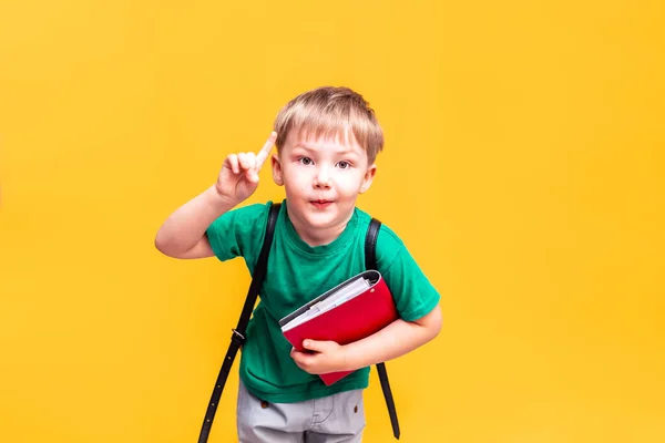 Tillbaka till skolan, liten skolpojke poserar framför kameran, pojken hade en idé, stora planer — Stockfoto