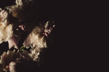 Karanlık arka planda güzel, narin şakayıklar, çiçek açan çiçekler, 8 Mart, anneler günü, doğum günü hediyesi..