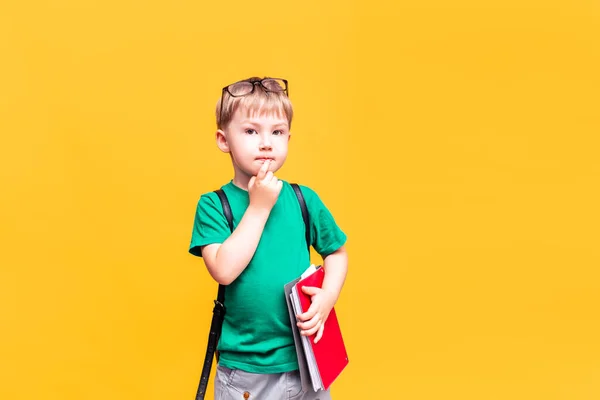 Volta Escola Pequeno Estudante Posando Câmera Menino Pensou — Fotografia de Stock