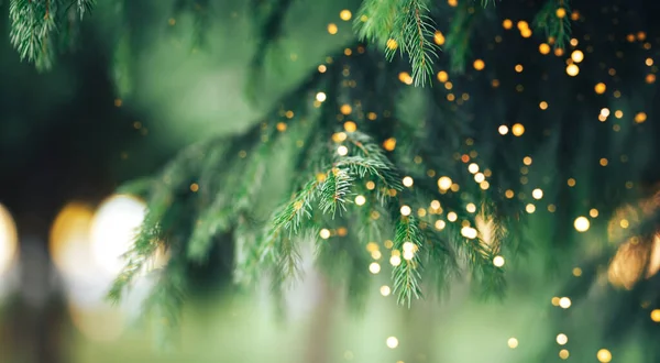 Árbol Navidad Aire Libre Con Nieve Luces Bokeh Alrededor Nieve — Foto de Stock