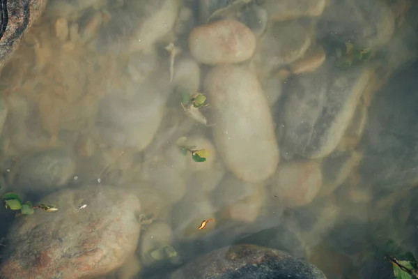 Background of river stones of different sizes in muddy water.