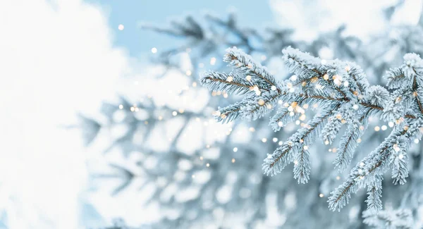 White Christmas Frosty Tree Merry Christmas Background Holiday Golden Bokeh — Stock Photo, Image