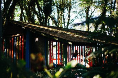 Ormanın ortasında, renkli bir ağaç evde saklanan tanınmamış bir çocuk..