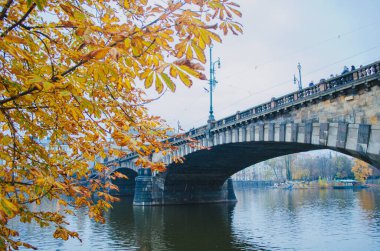 Prag, Çek Cumhuriyeti 'nin başkenti Vltava Nehri' ne uzanan manzaralı sarı-turuncu yapraklı kuru ağaç dalları.
