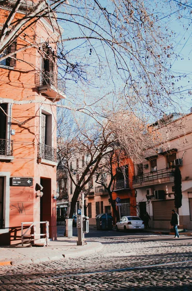 Şili Bulvarı sokak manzarası, Buenos Aires, soğuk bir sonbahar günü gökyüzünü kaplayan kuru ağaç dalları olan eski konutlar ve dışarıda park edilmiş bazı arabalar..