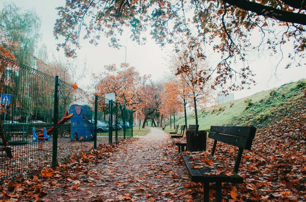 Arabaların park ettiği ıssız bir patika ve öğleden sonraları kuru sonbahar yapraklarıyla kaplı banklar..