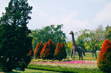 Bogor, Endonezya - Bulutlu bir öğleden sonra Taman Bunga Nusantara çiçek temalı parkın manzarası.