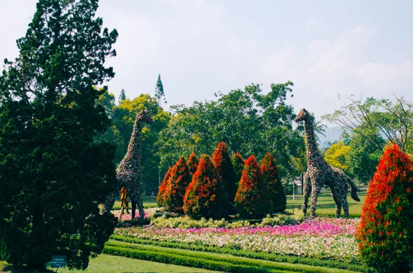 Bogor Indonesia Una Vista Del Parque Temático Flores Taman Bunga — Foto de Stock