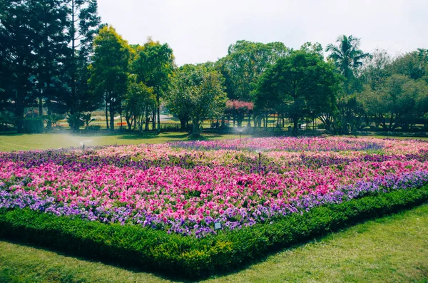 Bogor, Endonezya - Bulutlu bir öğleden sonra Taman Bunga Nusantara 'nın çiçek temalı parkının manzarası.
