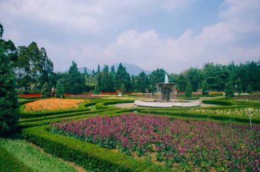 Bogor, Endonezya - Çiçek temalı parkın manzarası Taman Bunga Nusantara Bulutlu bir öğleden sonra Çiçek tarlasının ortasında bir çeşme manzaralı.