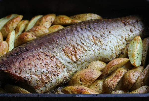 baked carp with sliced potatoes close up