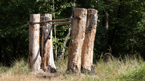 Wooden homemade sports equipment.  Sports uneven parallel bars are made of  logs, and are attached to tree trunks.  Sports field in the middle of the forest.