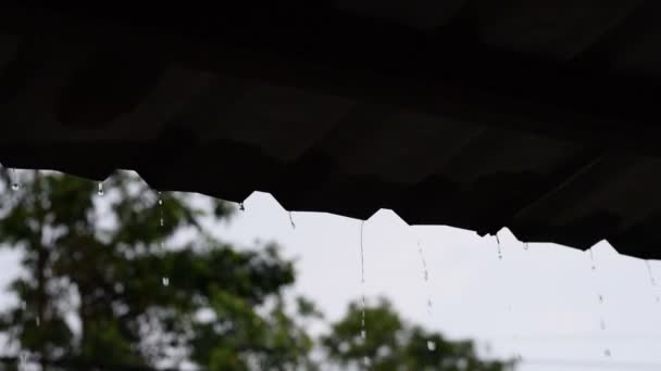 Βροχή Που Ρέει Κάτω Από Την Οροφή Κατά Διάρκεια Strom — Αρχείο Βίντεο