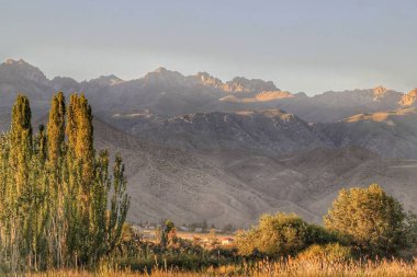 Kırgızistan doğası. Dağ massif. Ağaçlar, çalılar, glade. Gökyüzü mavidir.