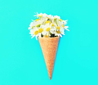 Dondurma külahı chamomiles çiçekli 