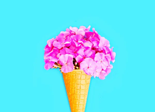 Cone Sorvete Com Flores — Fotografia de Stock