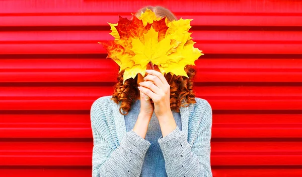 Funny girl hides her face yellow maple leaves on a red background
