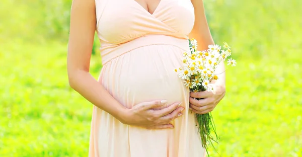 Concepto de embarazo - mujer embarazada con flores de manzanillas en ser —  Fotos de Stock