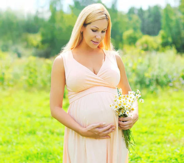 Graviditet koncept - gravid kvinna med chamomiles blommor på vara — Stockfoto