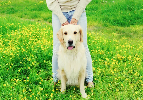 Mujer propietaria caminando con su perro Golden Retriever con correa en su —  Fotos de Stock