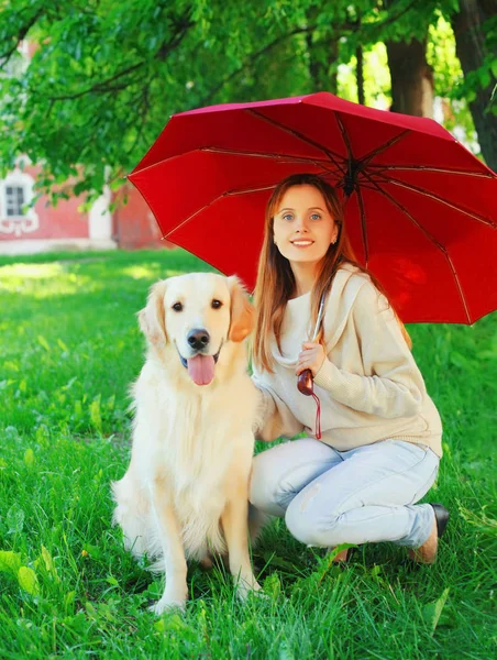 Glad leende ägare och guld återvinna hund tillsammans hiding und — Stockfoto