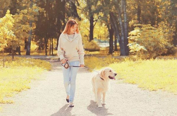 Молодая женщина гуляет со своей золотой собакой-ретривером на поводке в солнечный осенний день — стоковое фото